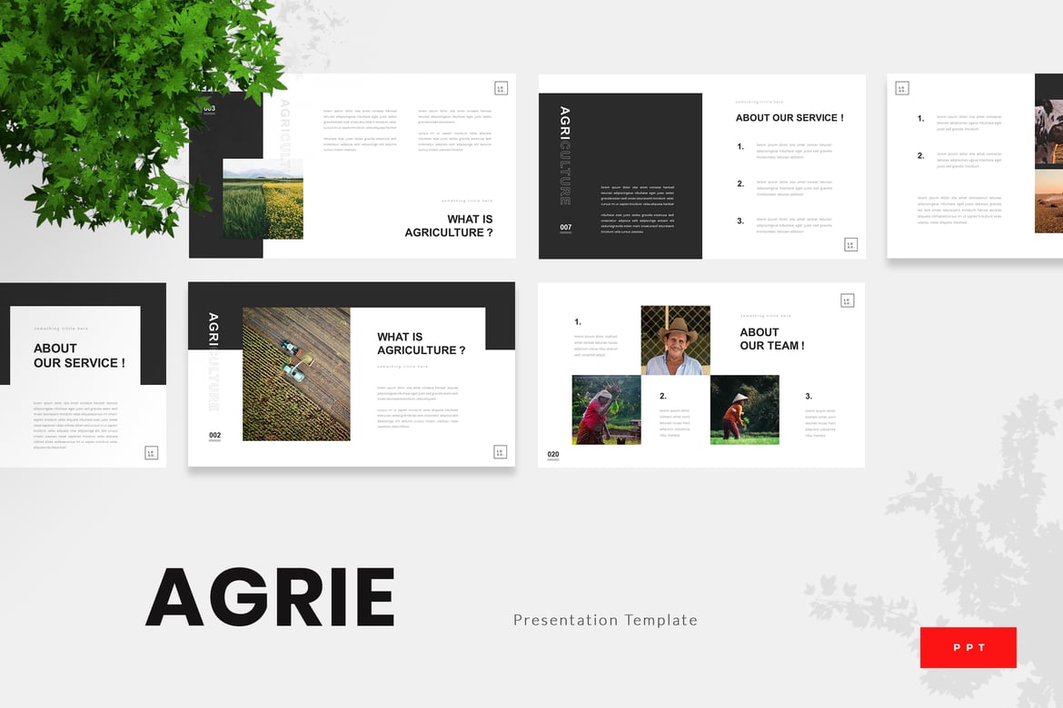 Agrie - Template Powerpoint Pertanian yang Menarik dan Profesional