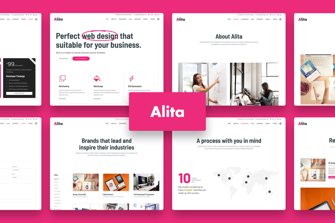 Alita - Tema WordPress Kreatif untuk Studio Web dan Agensi