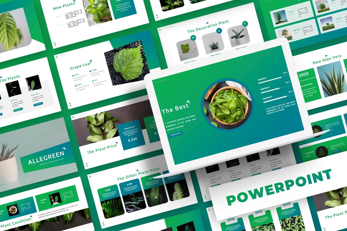 Allegreen - Template Presentasi Powerpoint Multiguna