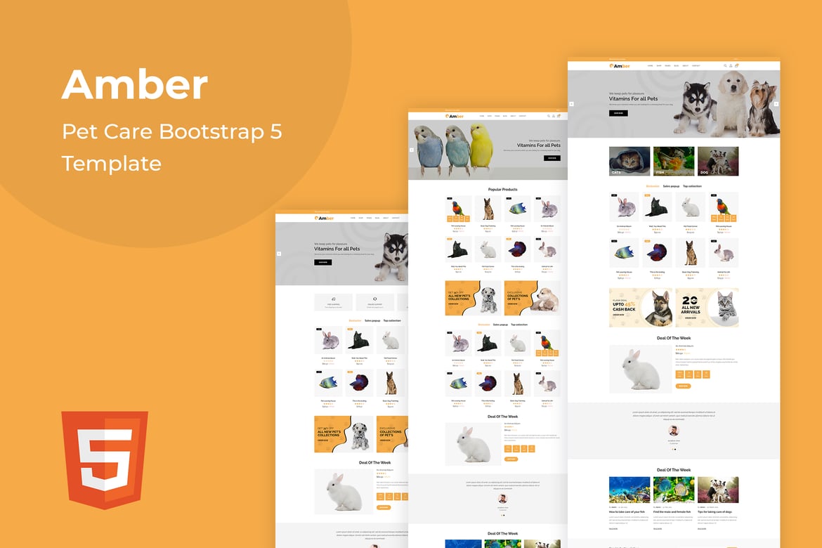 Amber - Template Website Perawatan Hewan Bootstrap 5 yang Elegan
