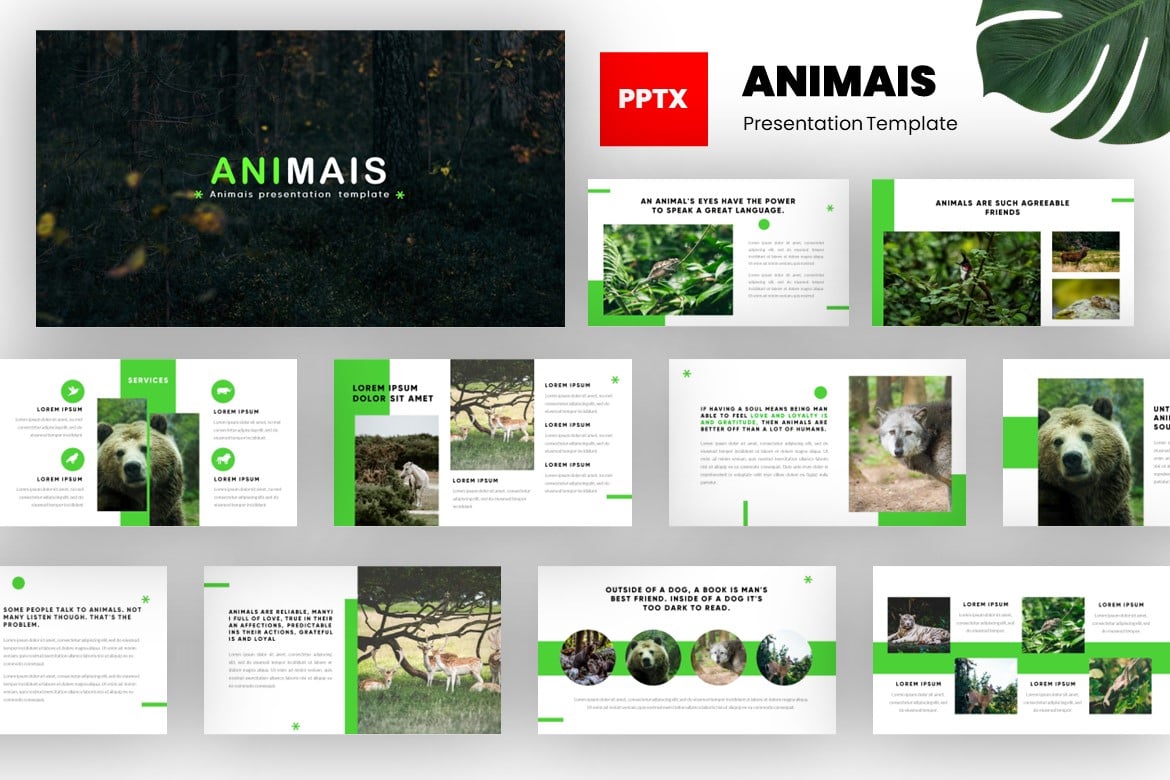 Template PowerPoint Hewan yang Kreatif dan Modern