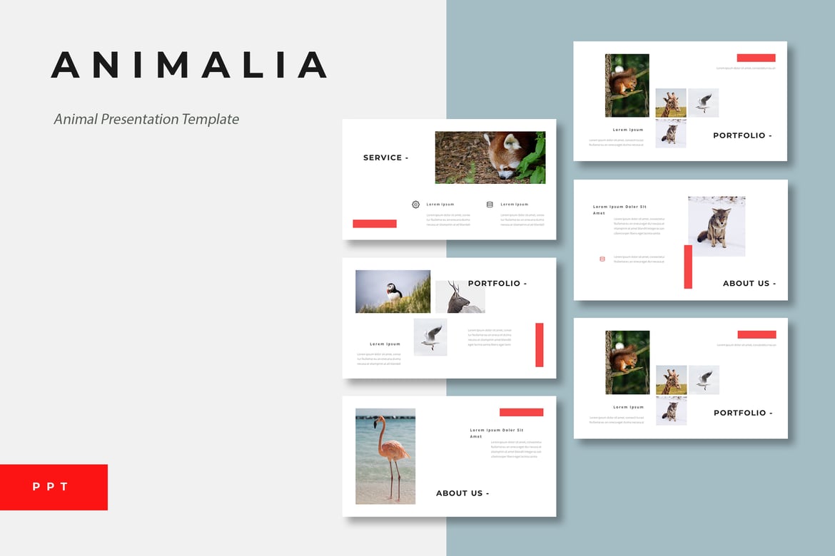Template Presentasi PowerPoint Animalia - Menarik dan Profesional