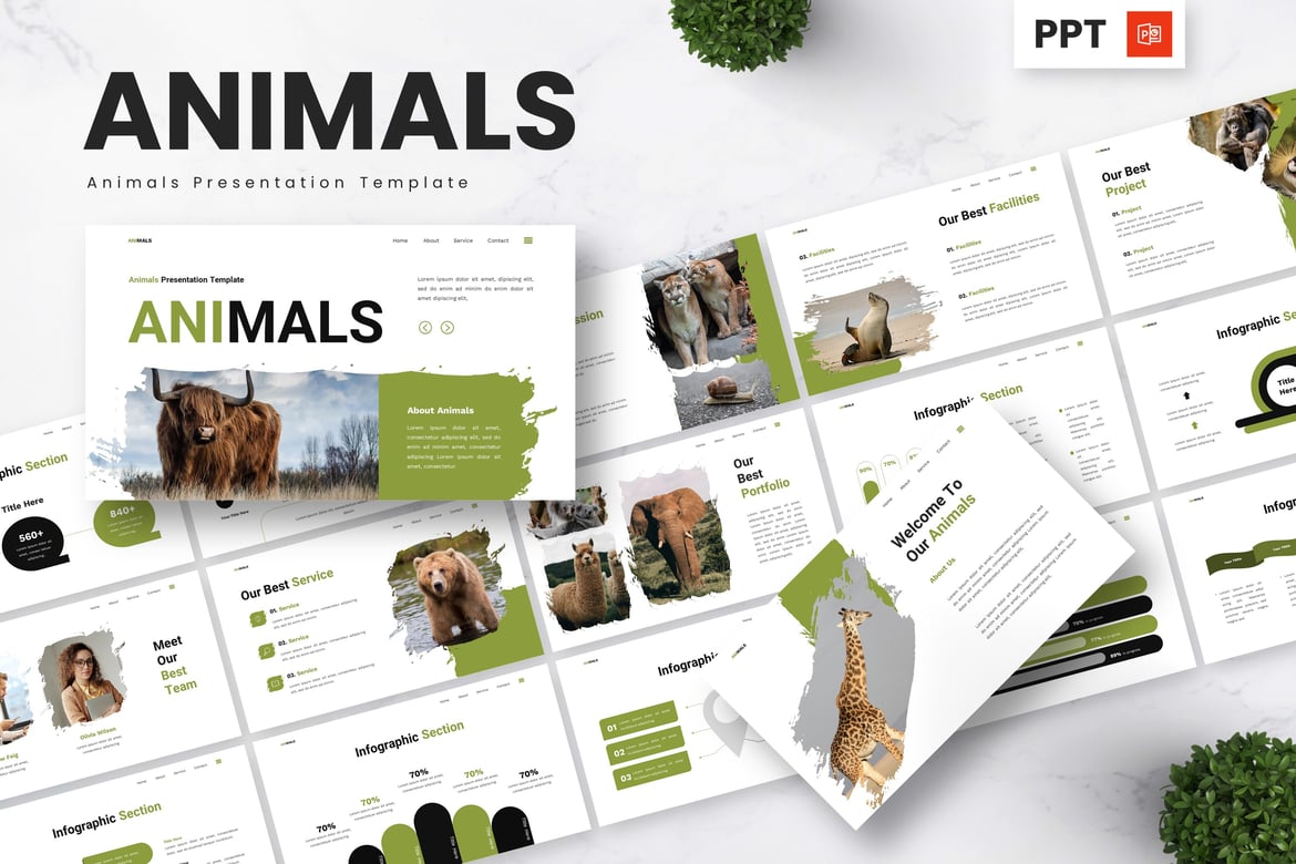 Template Powerpoint Konservasi Hewan yang Menarik