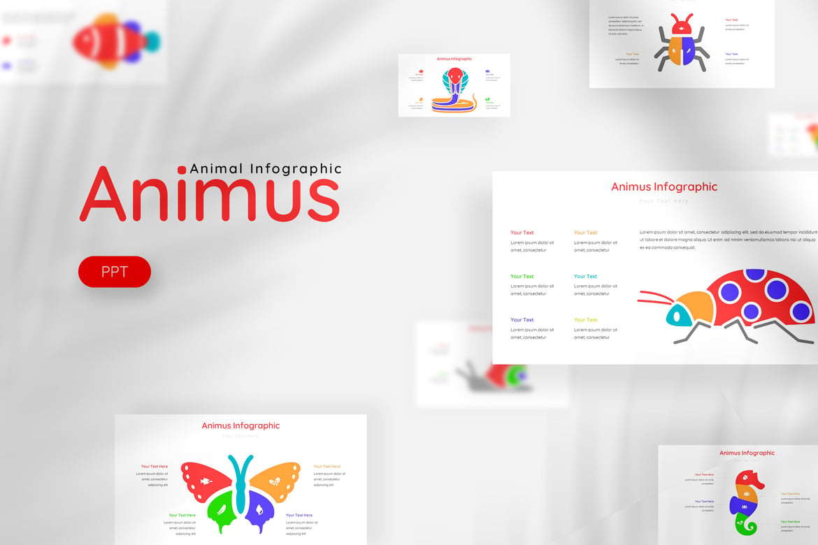 Template Presentasi PowerPoint Animus - Desain Infografis Menarik