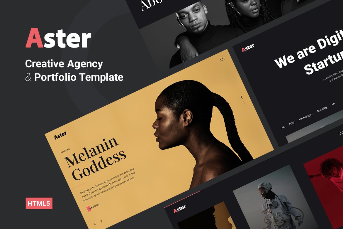Aster - Template Website Portofolio Kreatif yang Menawan
