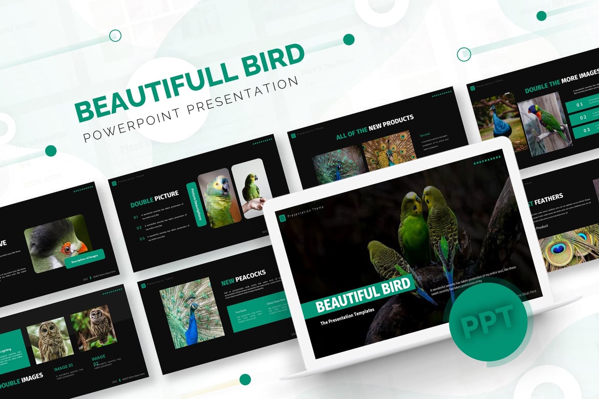Template Presentasi PowerPoint Indah | Beautiful Bird