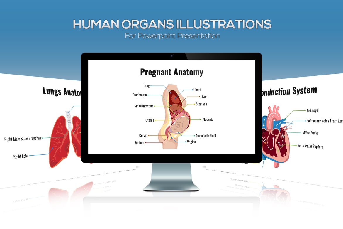 Template PowerPoint Biologi: Organ Manusia untuk Presentasi yang Menarik