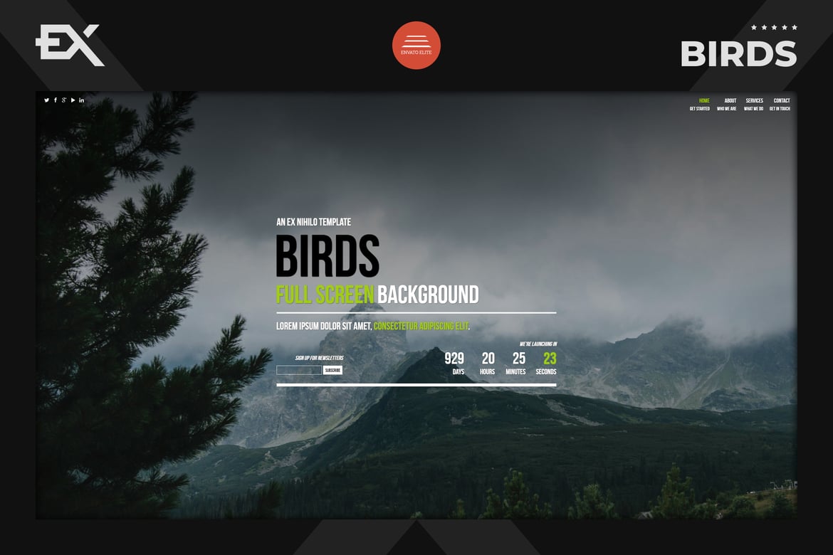Template Website Birds - Halaman Coming Soon yang Responsif dan Modern