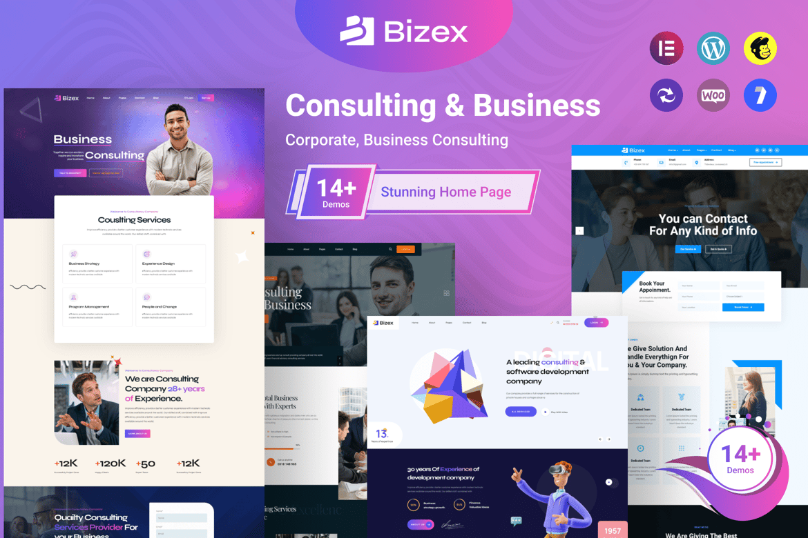 Tema WordPress Bizex - Solusi Konsultasi Bisnis Modern