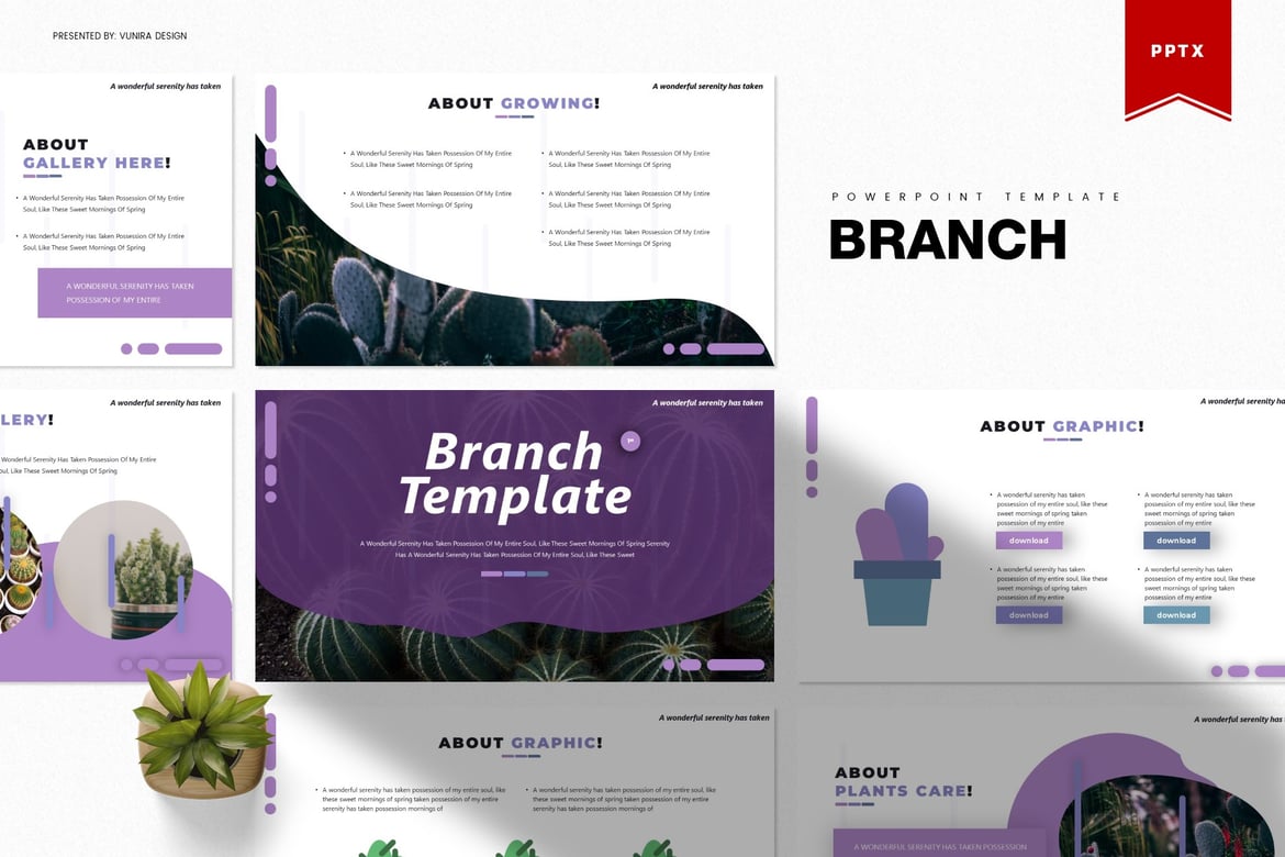 Template Presentasi PowerPoint Branch yang Menarik dan Profesional