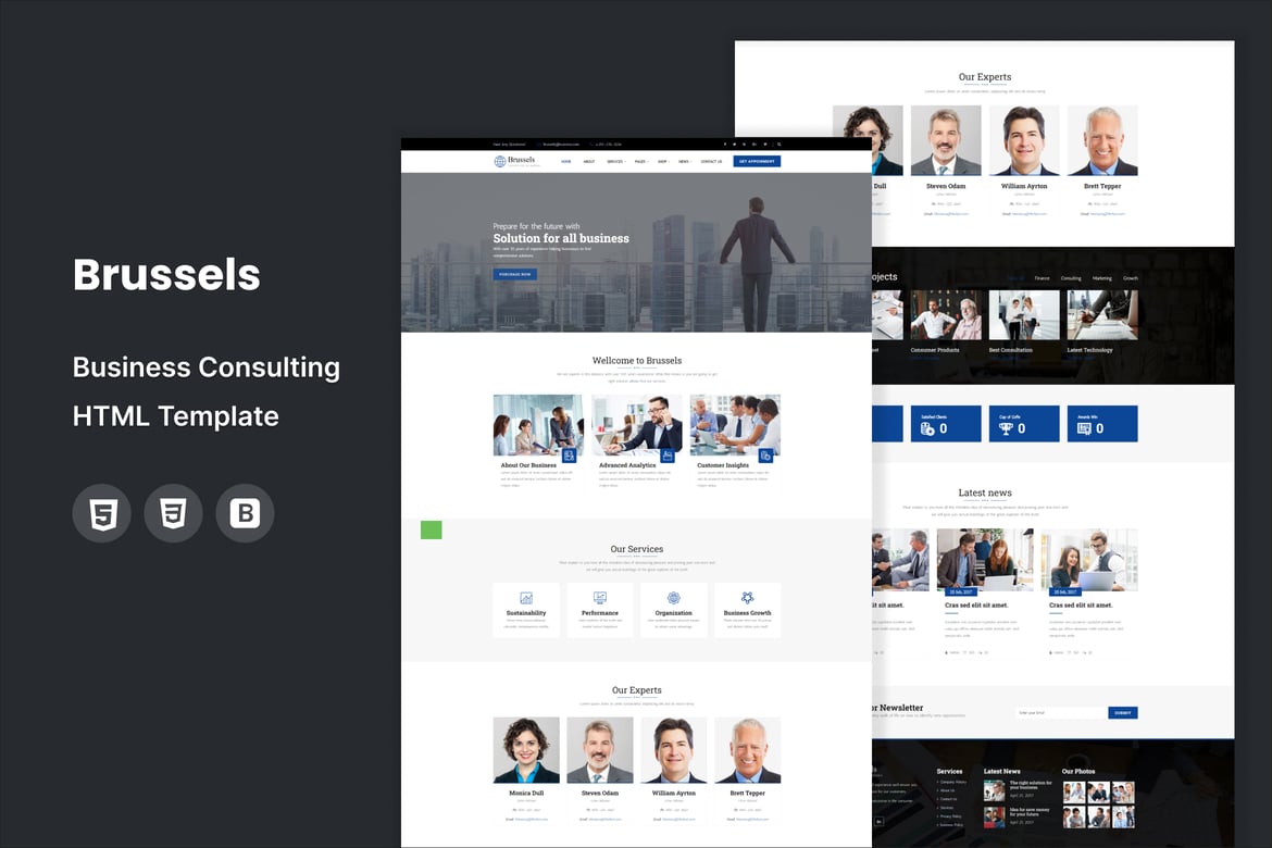 Template Website Konsultasi Bisnis Brussels yang Profesional