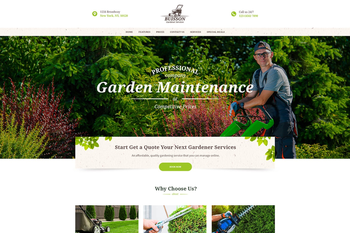 Tema WordPress Buisson - Solusi Ideal untuk Bisnis Berkebun Anda