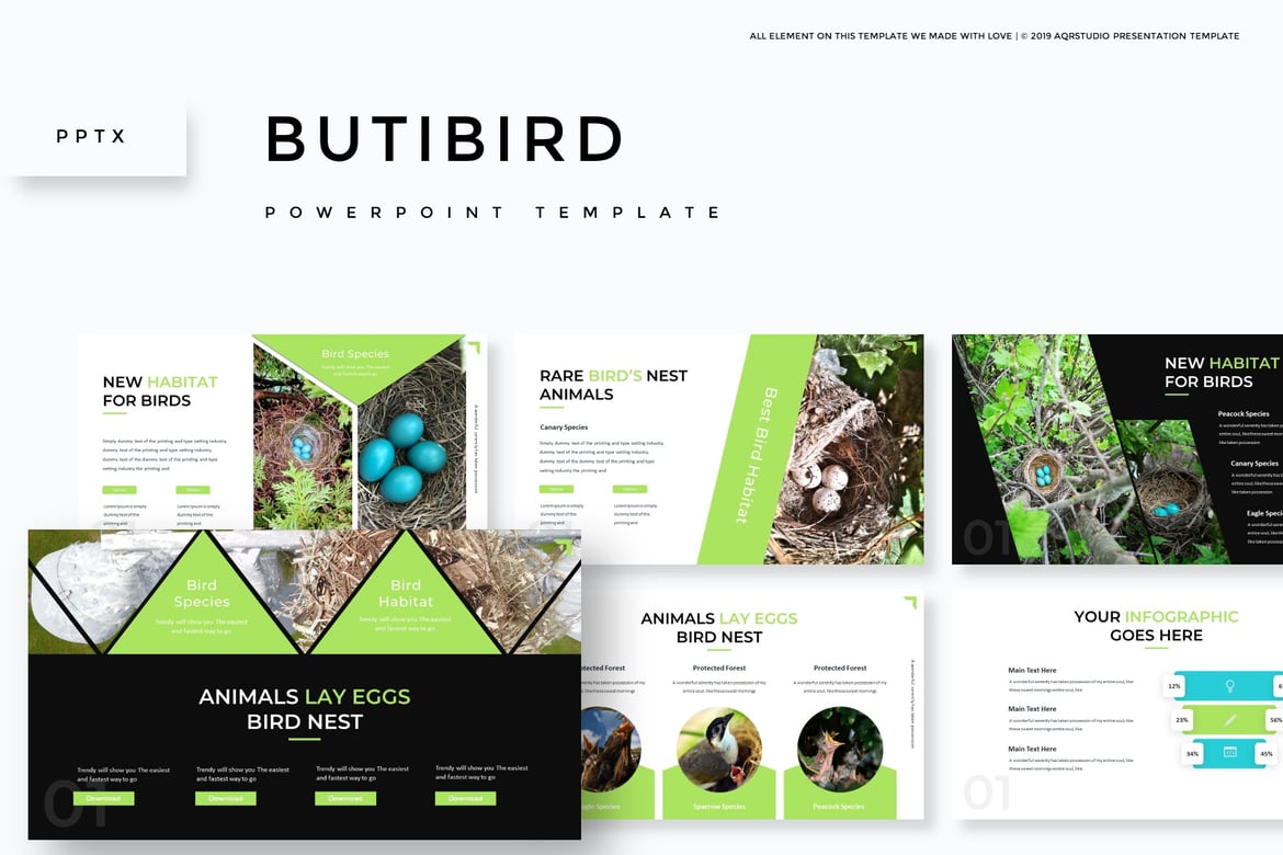 Butibird - Template PowerPoint Menarik untuk Semua Kebutuhan