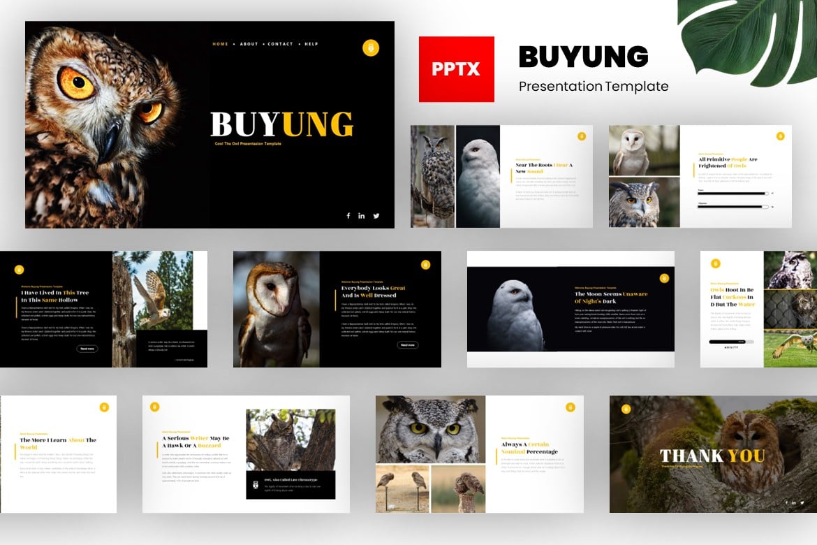 Template Presentasi PowerPoint Buyung - Desain Burung yang Menarik