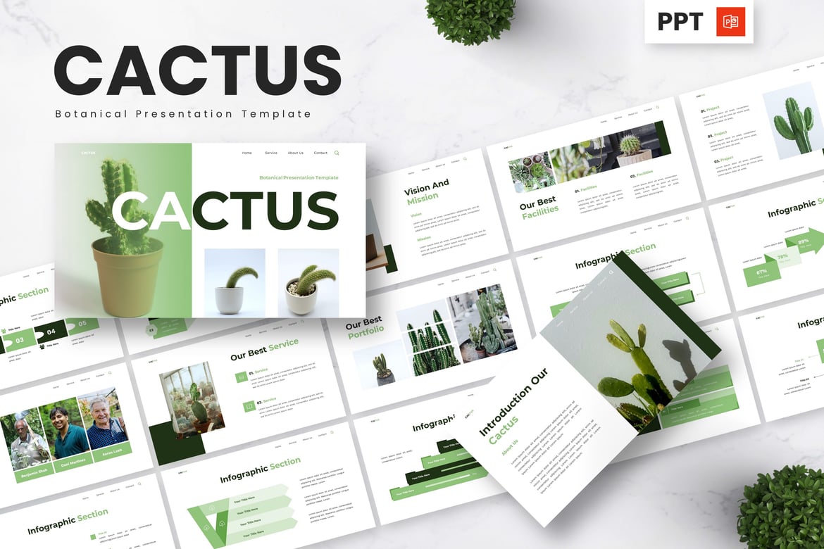 Template Presentasi Powerpoint Cactus - Keindahan Botani dalam Setiap Slide