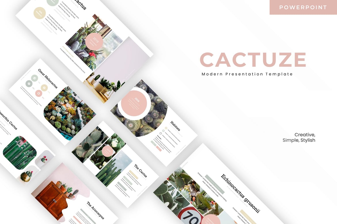 Cactuze - Template Powerpoint Multifungsi