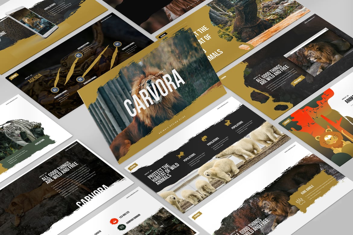 Template PowerPoint Carvora yang Menarik dan Profesional