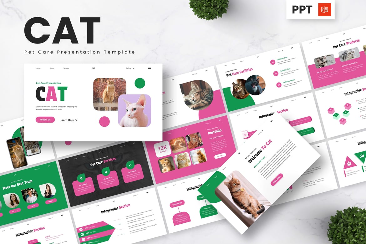 Template Presentasi PowerPoint Kucing - Perawatan Hewan Peliharaan