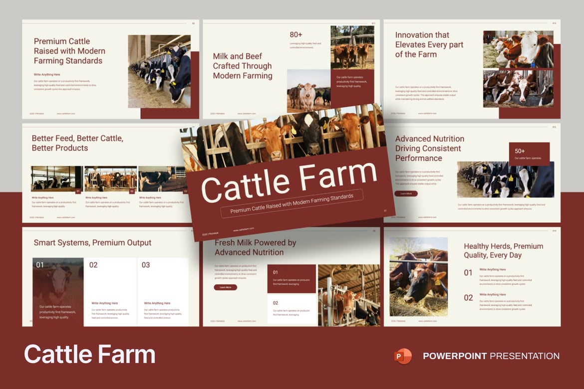 Template PowerPoint Peternakan Sapi yang Menarik dan Mudah Digunakan