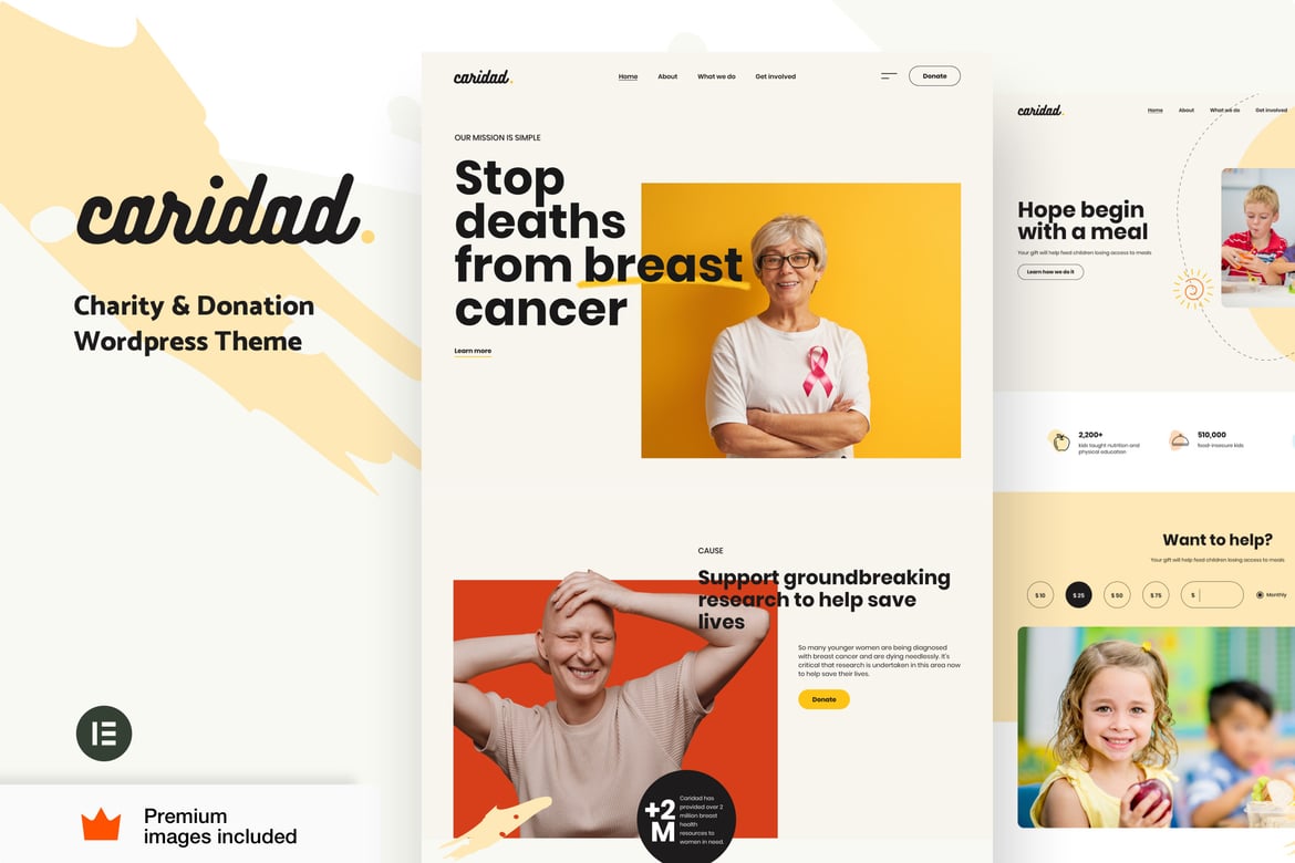 Tema WordPress Caridad: Solusi Terbaik untuk Proyek Amal Anda