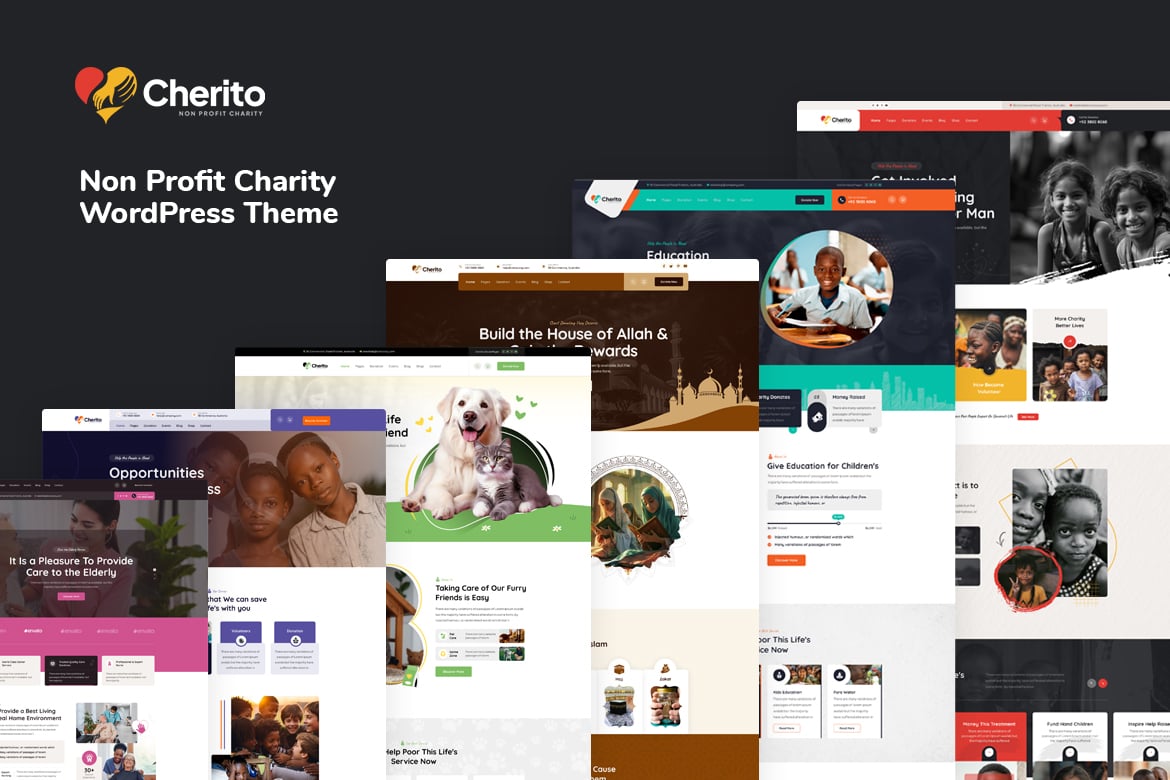 Cherito - Tema WordPress Amal Profesional untuk Organisasi Nirlaba