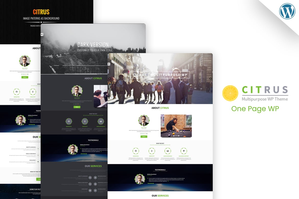 Citrus - Tema WordPress Satu Halaman yang Serbaguna