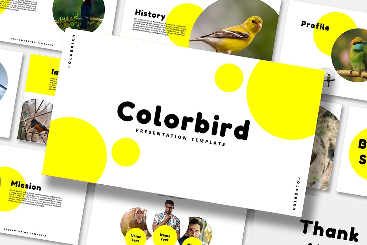 Template PowerPoint Color Bird yang Menarik dan Kreatif