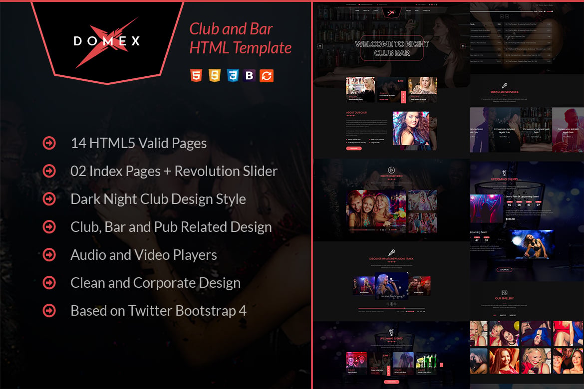 Template Web Domex - Solusi Menarik untuk Night Club dan Acara Hiburan