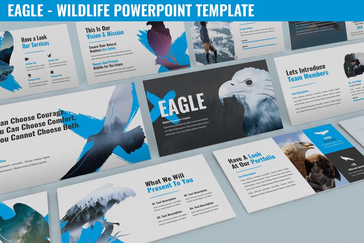 Template Powerpoint Burung Elang - Presentasi Wildlife Modern