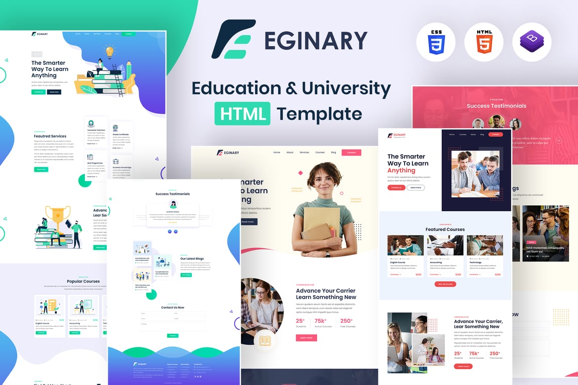 Eginary - Template Website Pendidikan & Universitas yang Menarik