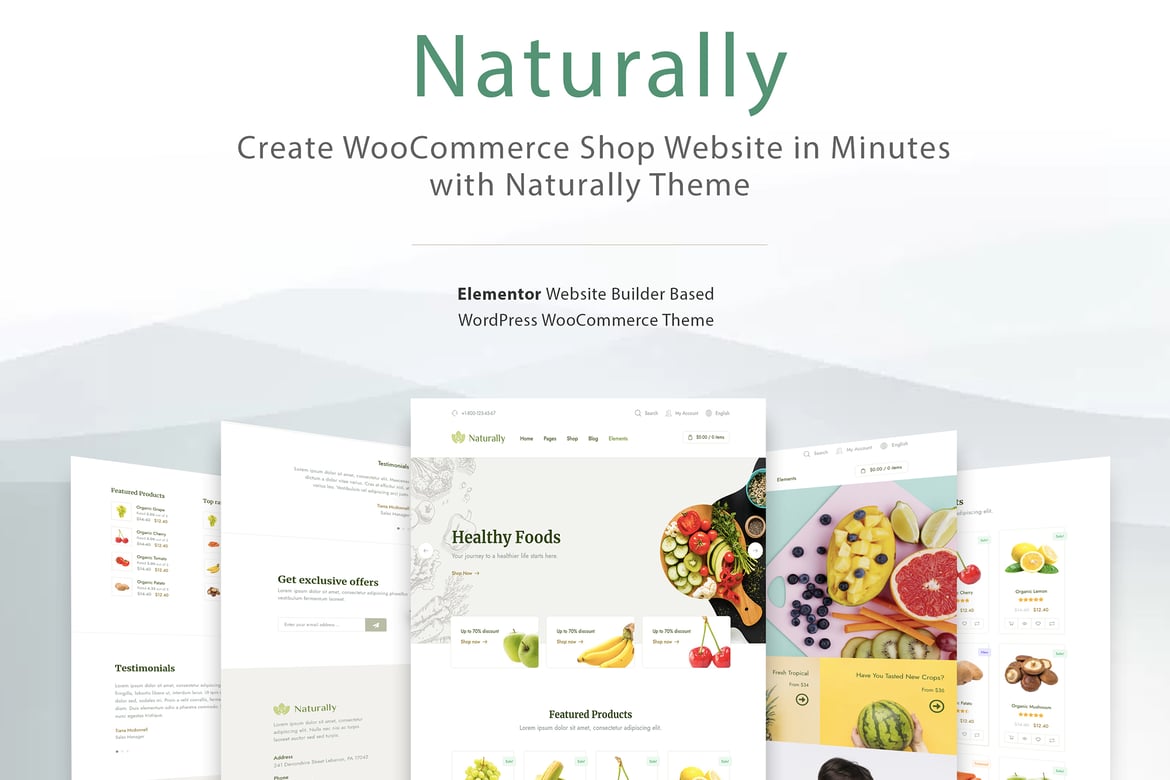Tema WordPress Elementor untuk Toko Ecommerce dan Perdagangan Online