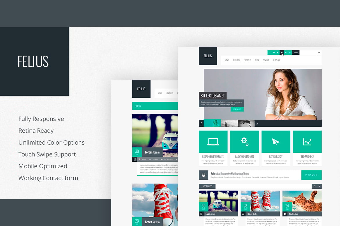 Felius - Template Web Serbaguna dan Responsif