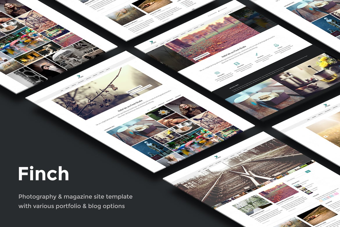 Finch – Template Website Fotografi & Majalah yang Responsif