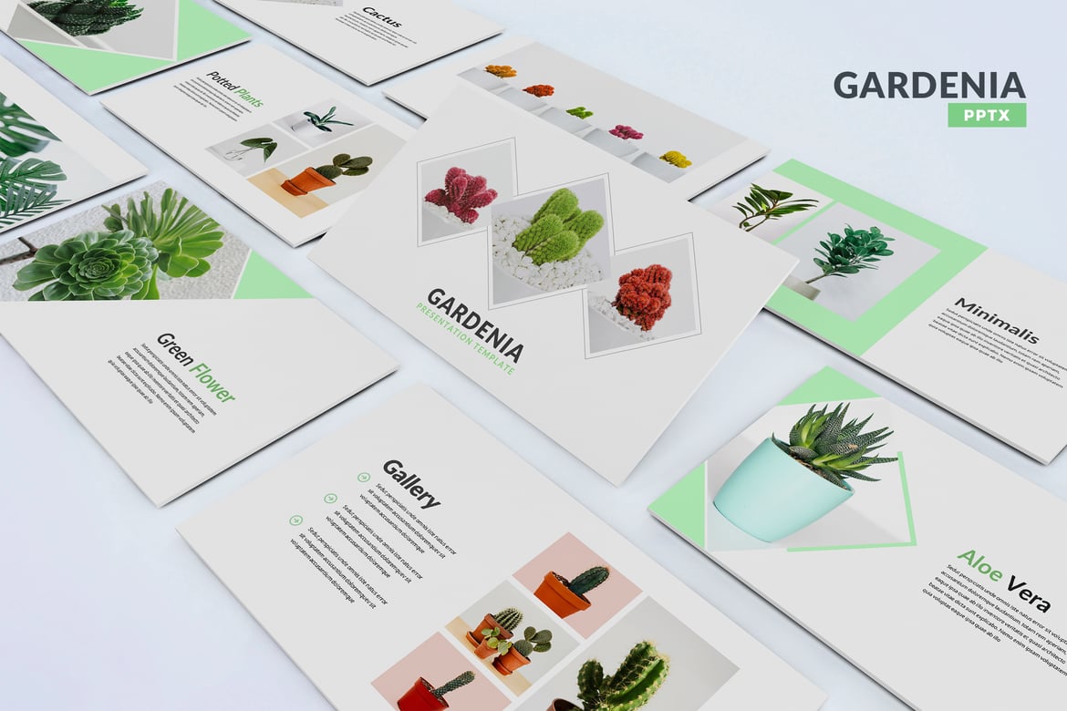 Template PowerPoint Gardenia yang Modern dan Elegan