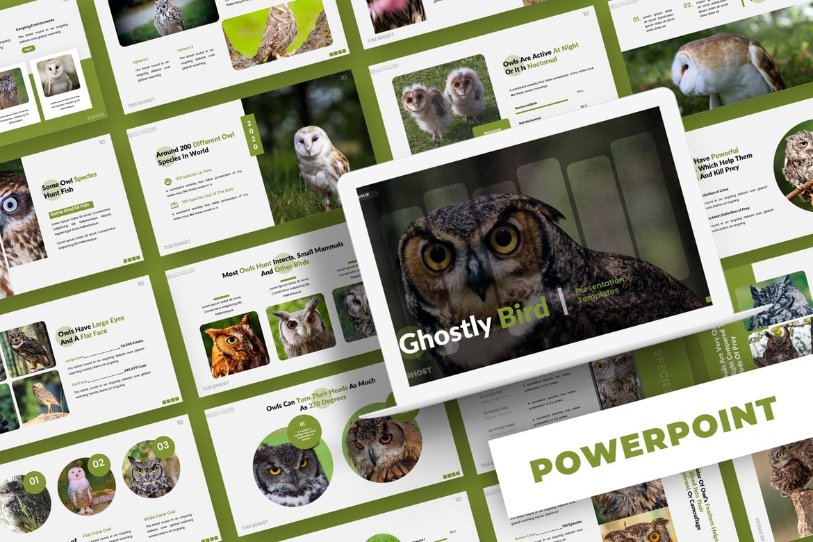 Template Powerpoint Ghostly Bird - Solusi Presentasi Menarik
