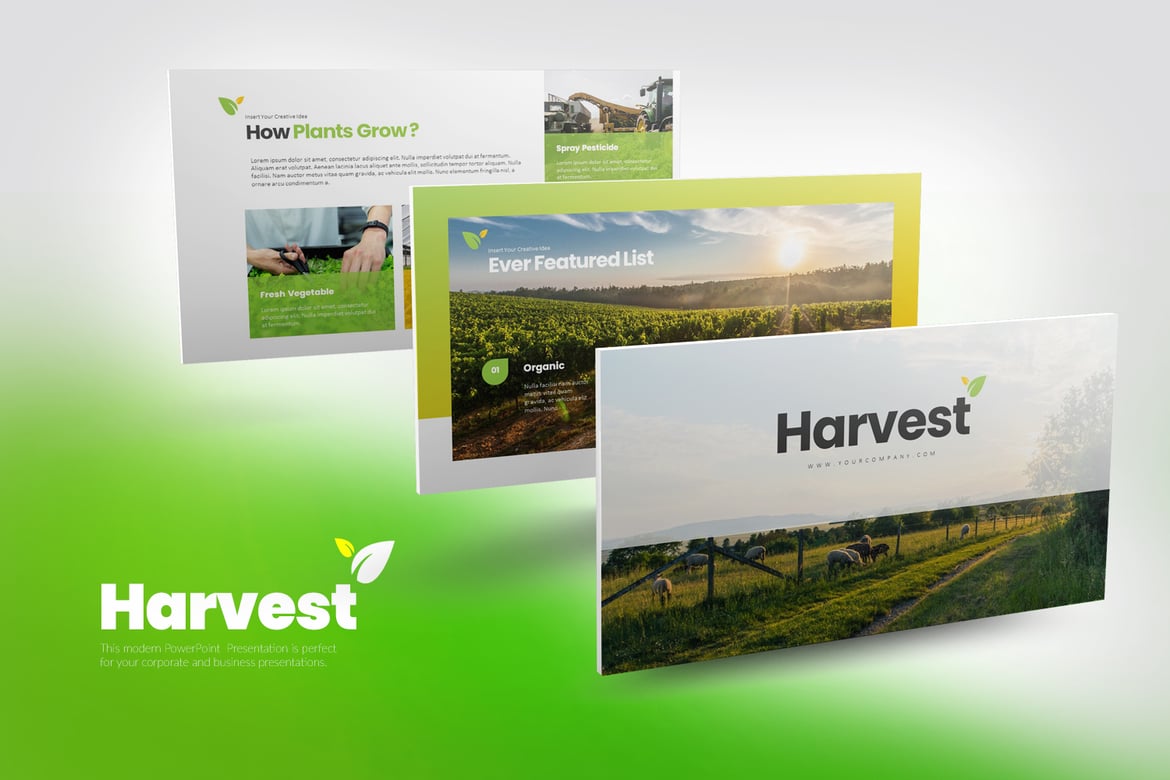 Template Presentasi PowerPoint Harvest yang Mengagumkan