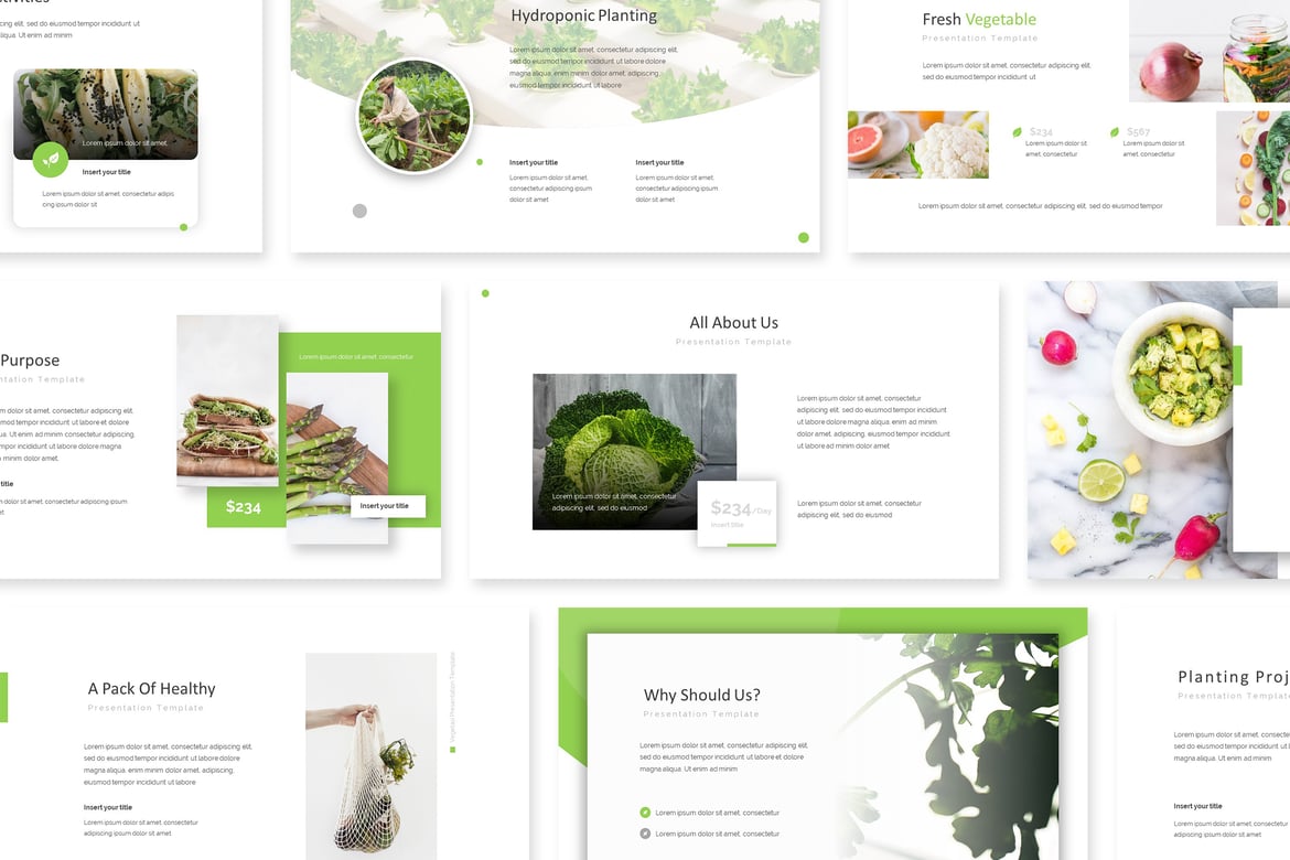 Leslie - Template Powerpoint Kreatif dan Minimalis