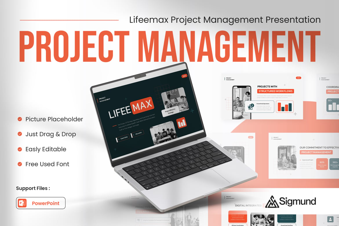 Template Presentasi Manajemen Proyek Lifeemax yang Menarik