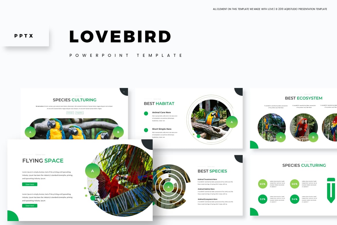 Template Powerpoint Love Bird - Presentasi Menarik untuk Segala Kebutuhan
