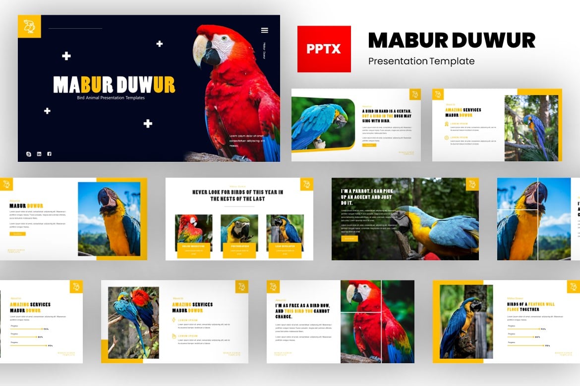 Mabur - Template Powerpoint Hewan Burung yang Menawan