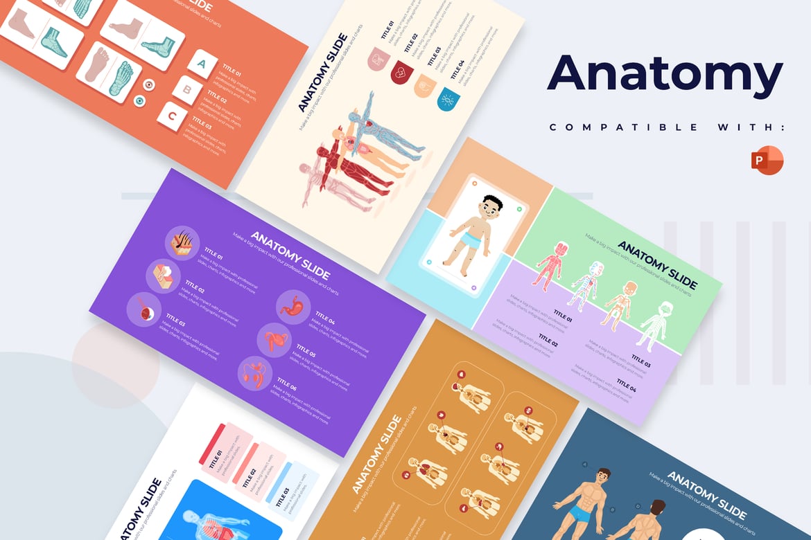 Template PowerPoint Infografis Anatomi Medis Modern