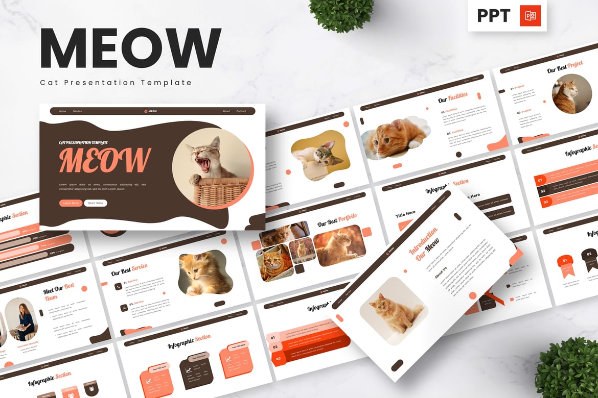 Template Presentasi PowerPoint Kucing yang Menarik