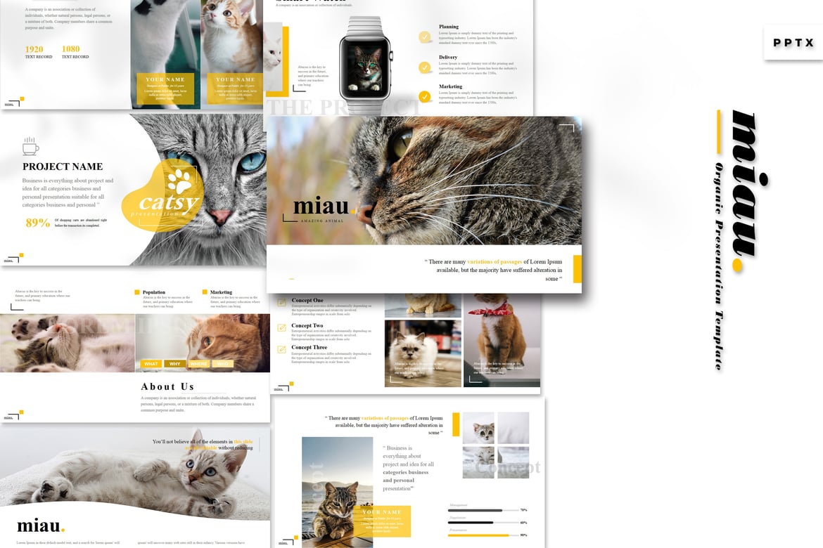 Template Powerpoint Miau - Presentasi Kreatif dan Serbaguna