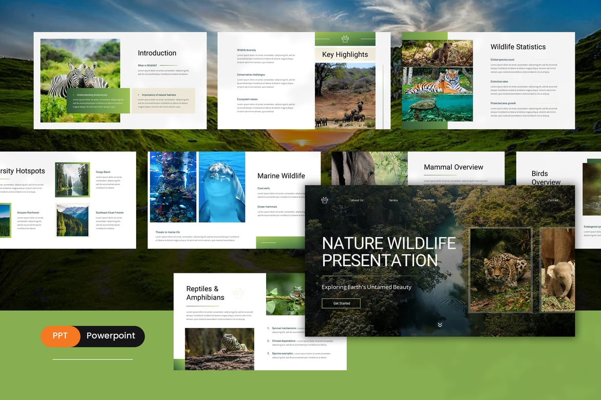 Template PowerPoint Alam dan Satwa Liar yang Menarik