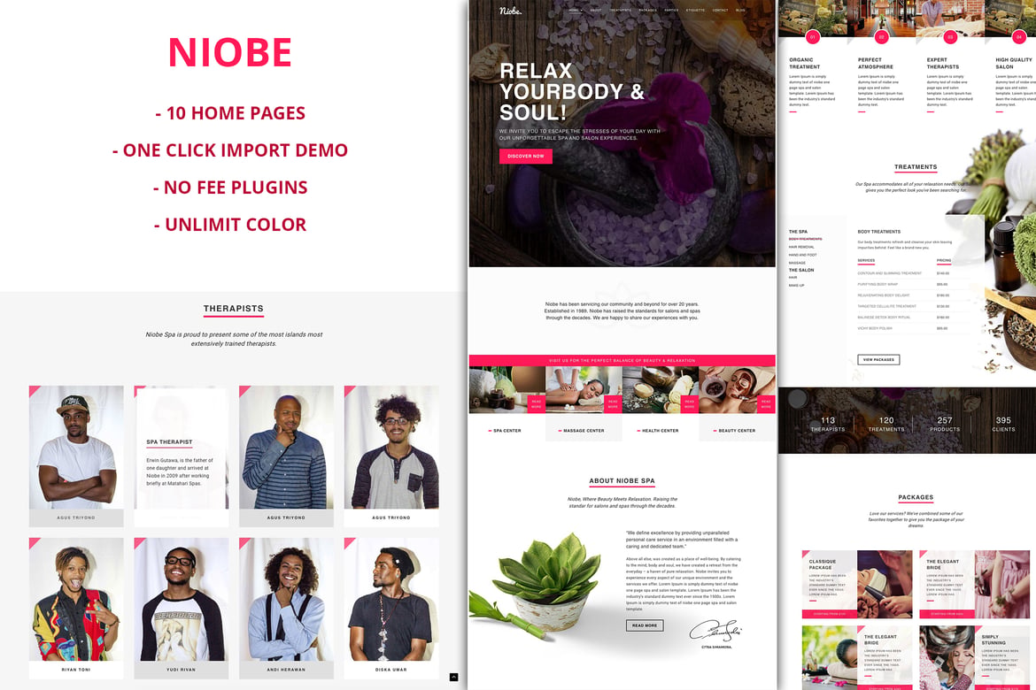 Tema WordPress Niobe - Solusi Sempurna untuk Spa & Salon Anda