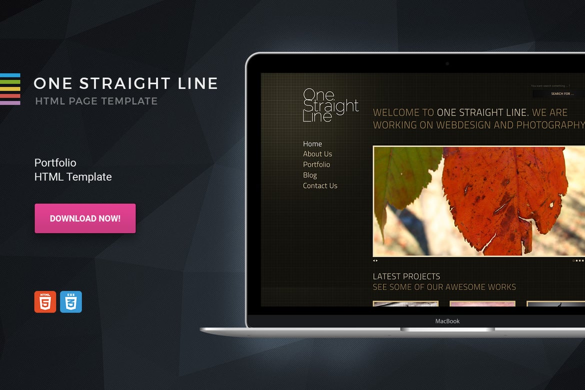 One Straight Line - Template Portfolio Unik untuk Tampilan Profesional