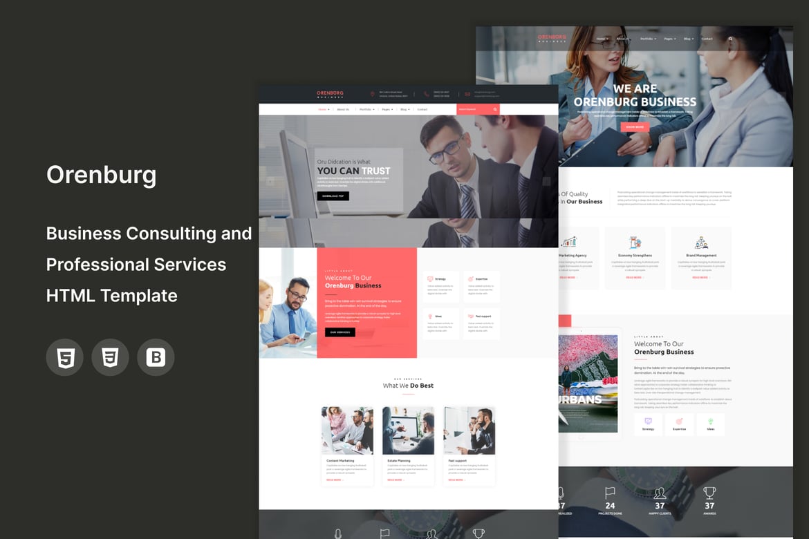 Orenburg - Template Website Konsultasi dan Layanan Profesional