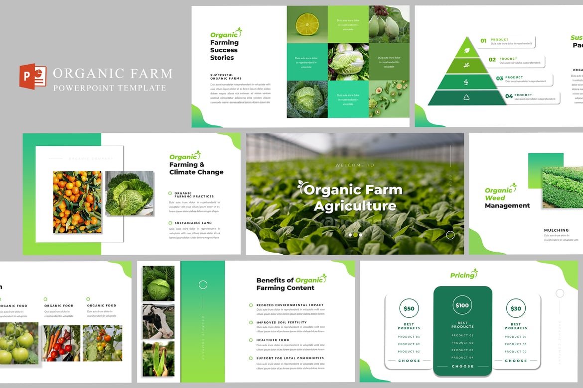 Template PowerPoint Pertanian Organik yang Menarik