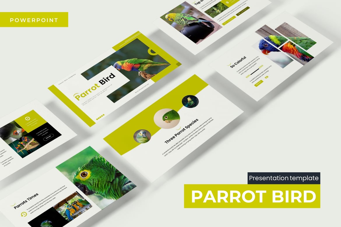Template Powerpoint Burung Beo - Presentasi Menarik untuk Segala Kebutuhan