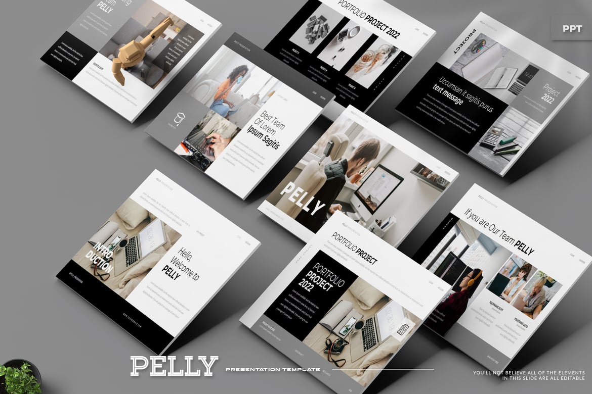 Template PowerPoint Pelly - Presentasi Kreatif untuk Segala Keperluan